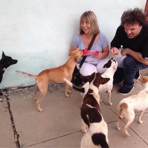 Meet your Posher, Daphne